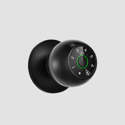 Spherical Multi-Unlock Smart Fingerprint Lock