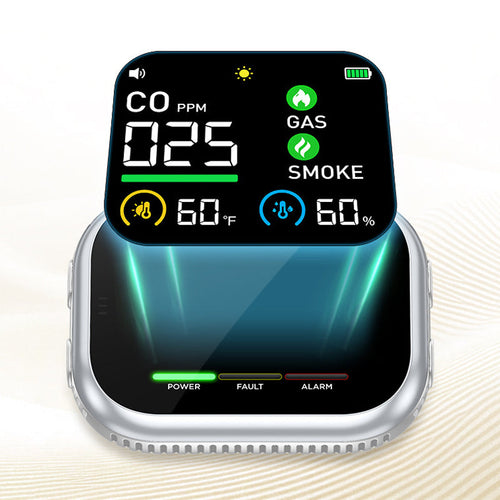 Portable Multi-Gas Alarm with LCD Display and Battery Backup